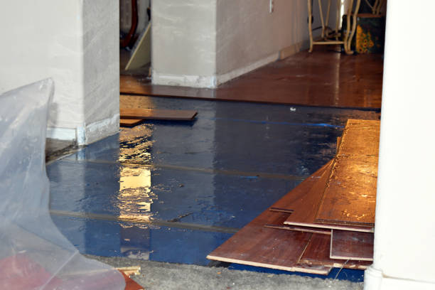 Professional Flood Damage Restoration technician working in Stuart, IA